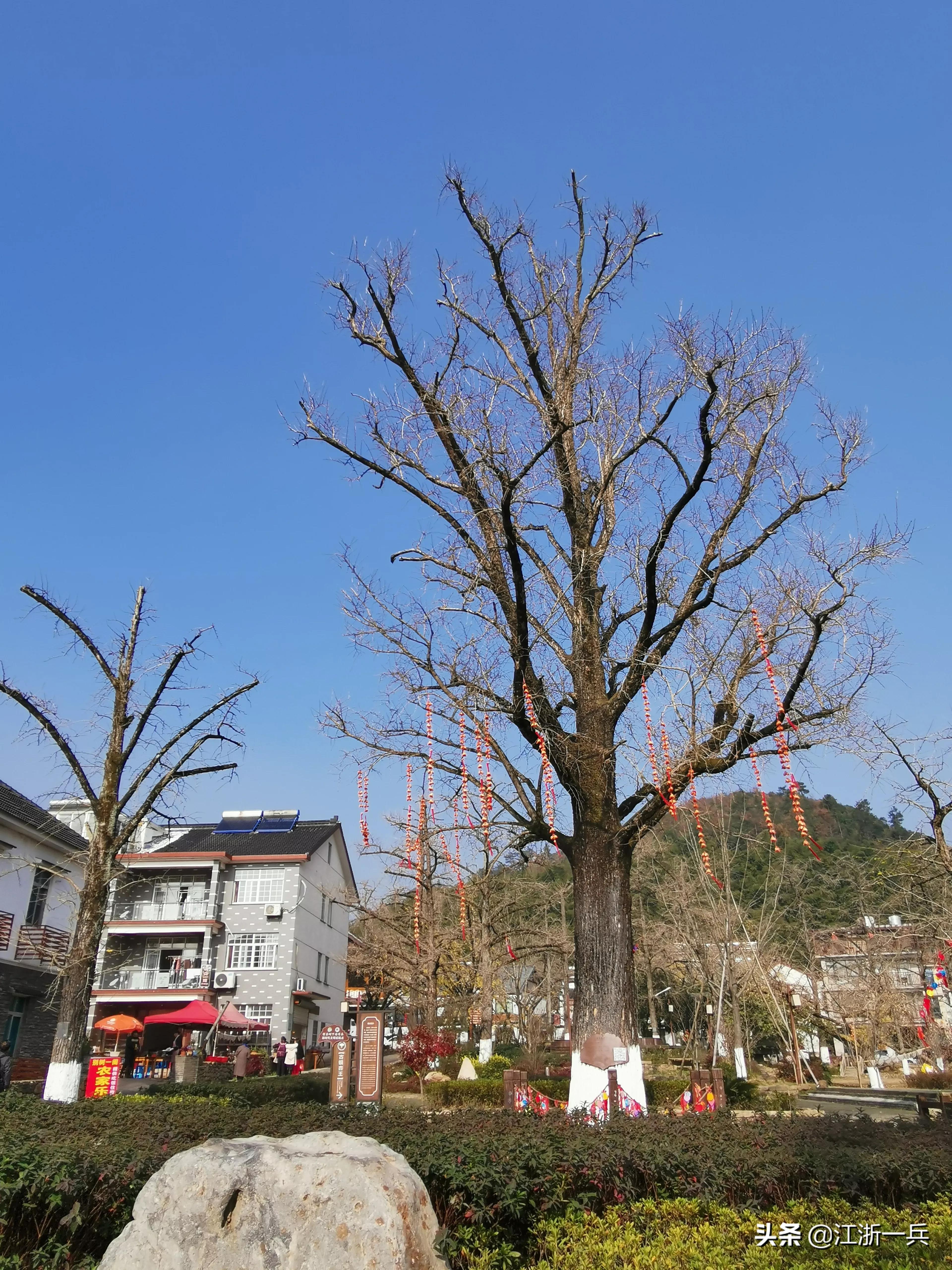 春游八都岕,长兴八都岕春游