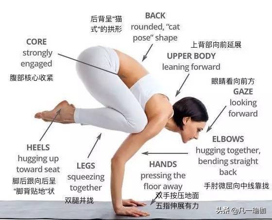一篇文章两项内容，27张瑜伽细节图加练习注意事项，分享给大家