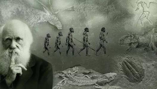 物种起源学说谁提出的,物种起源是进化论产生的结果吗