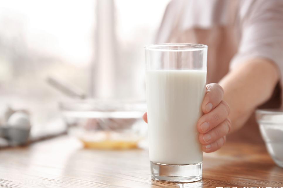 羊奶驼奶和牛奶哪个适合老年人,老年人喝驼奶的禁忌