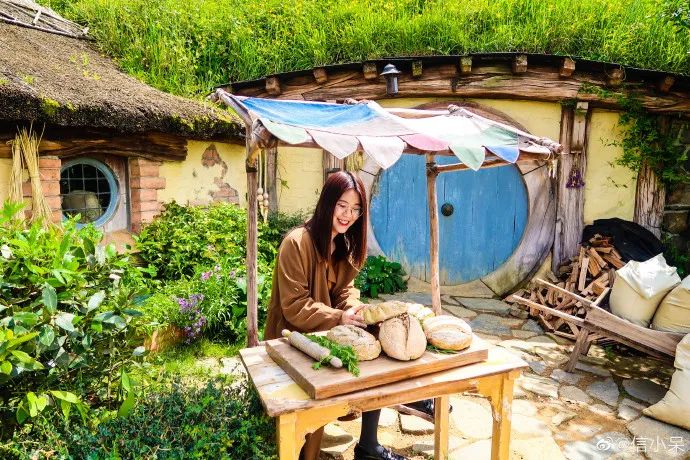 90万人梦碎!可信小呆的锦鲤一生,真那么痛快吗?