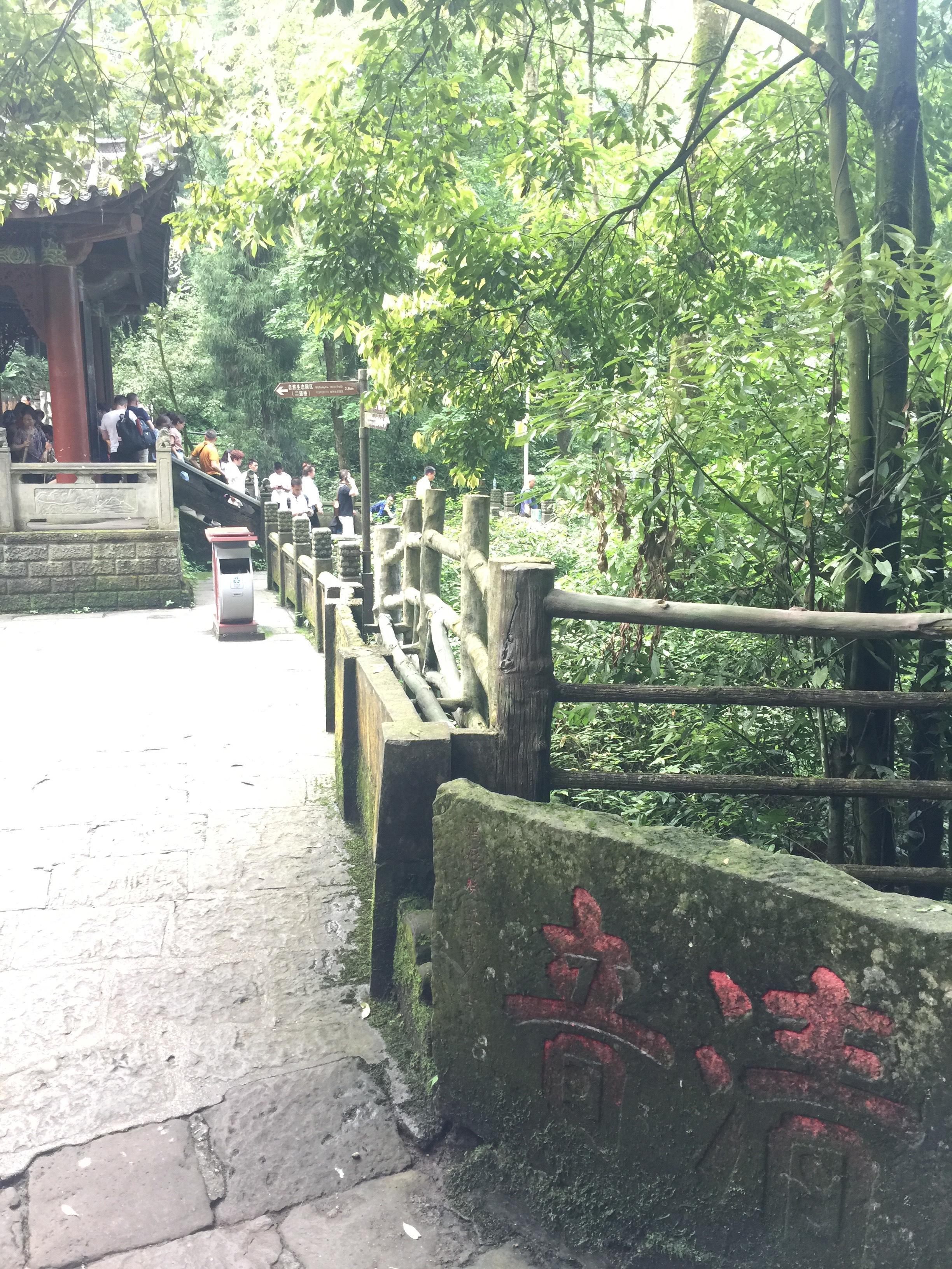 峨眉山登顶佛像,峨眉山登顶记完整版