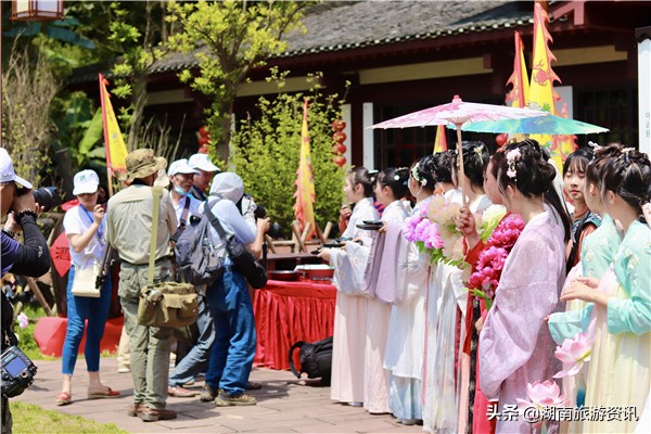 全省新风景摄影艺术大展启幕,攸县酒仙湖油桐花节