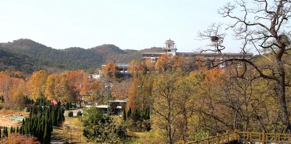 大连庄河市不收门票景点,大连不收门票的沙滩