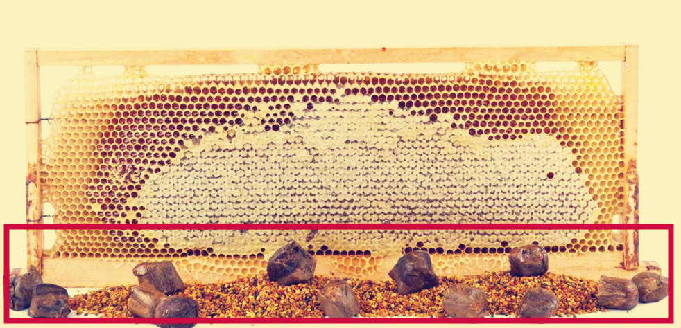 蜂胶和大蒜油哪个抗菌抗癌好,蜂胶价格为什么差这么多