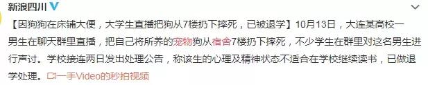 大学宿舍养狗什么处分最严重,大学生在宿舍养猪被通报批评