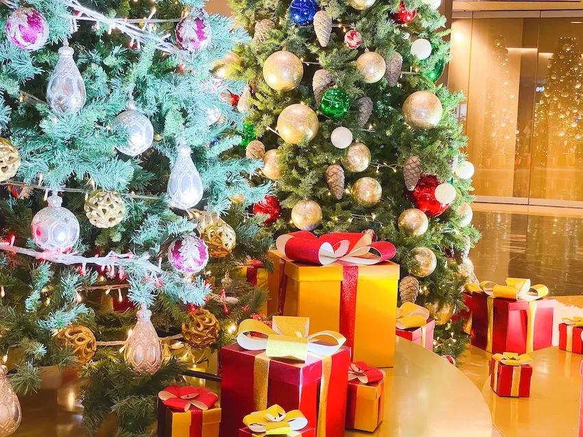 上海哪里圣诞树最好,上海千树圣诞树