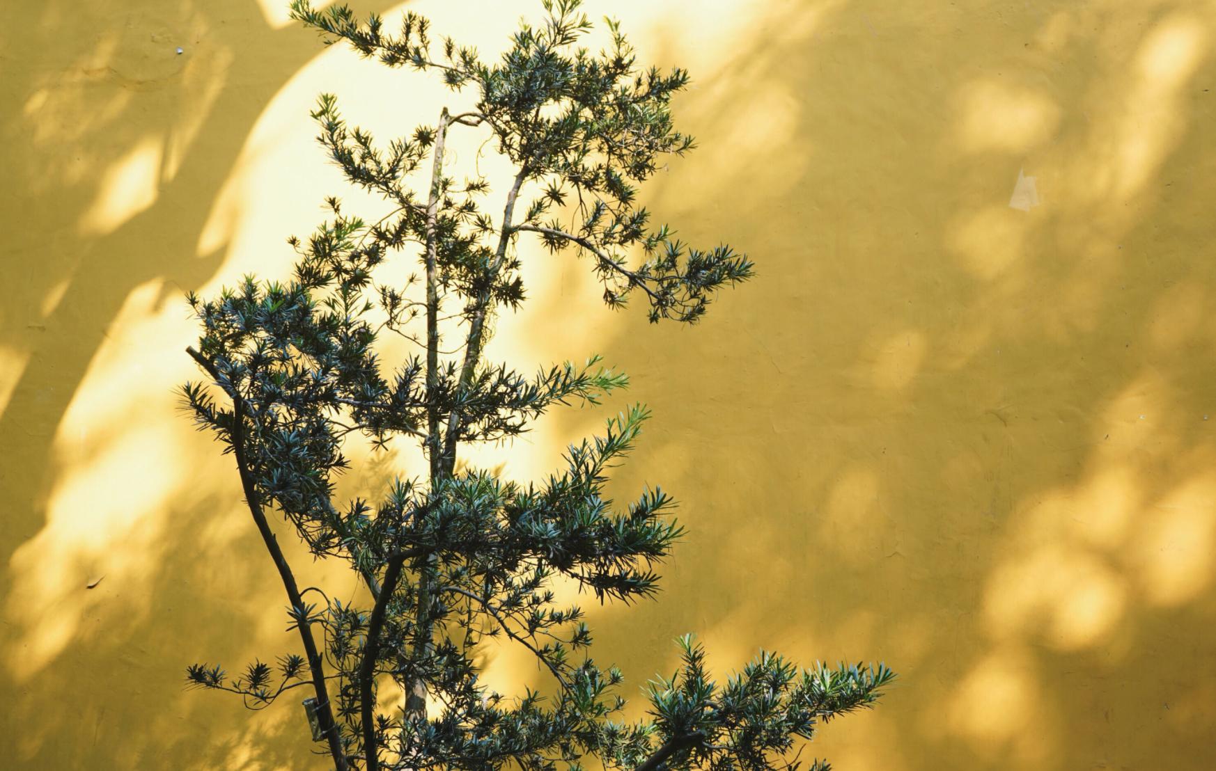 正投简历的快看过来！这里有个神仙岗位，业绩“随缘”环境绝美