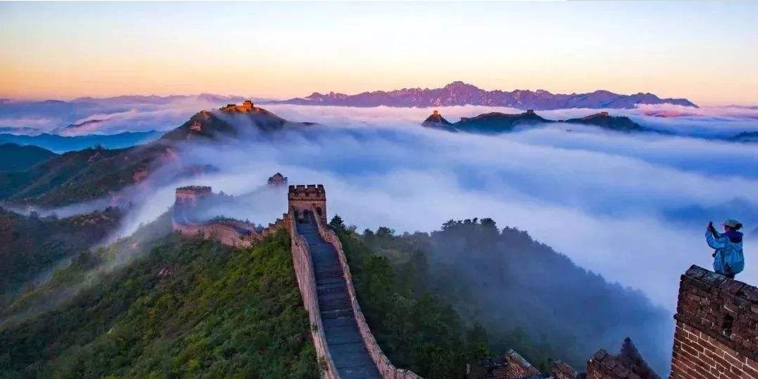 「原创诗词」金子正|秋风不是无情客一岭黄花照眼明