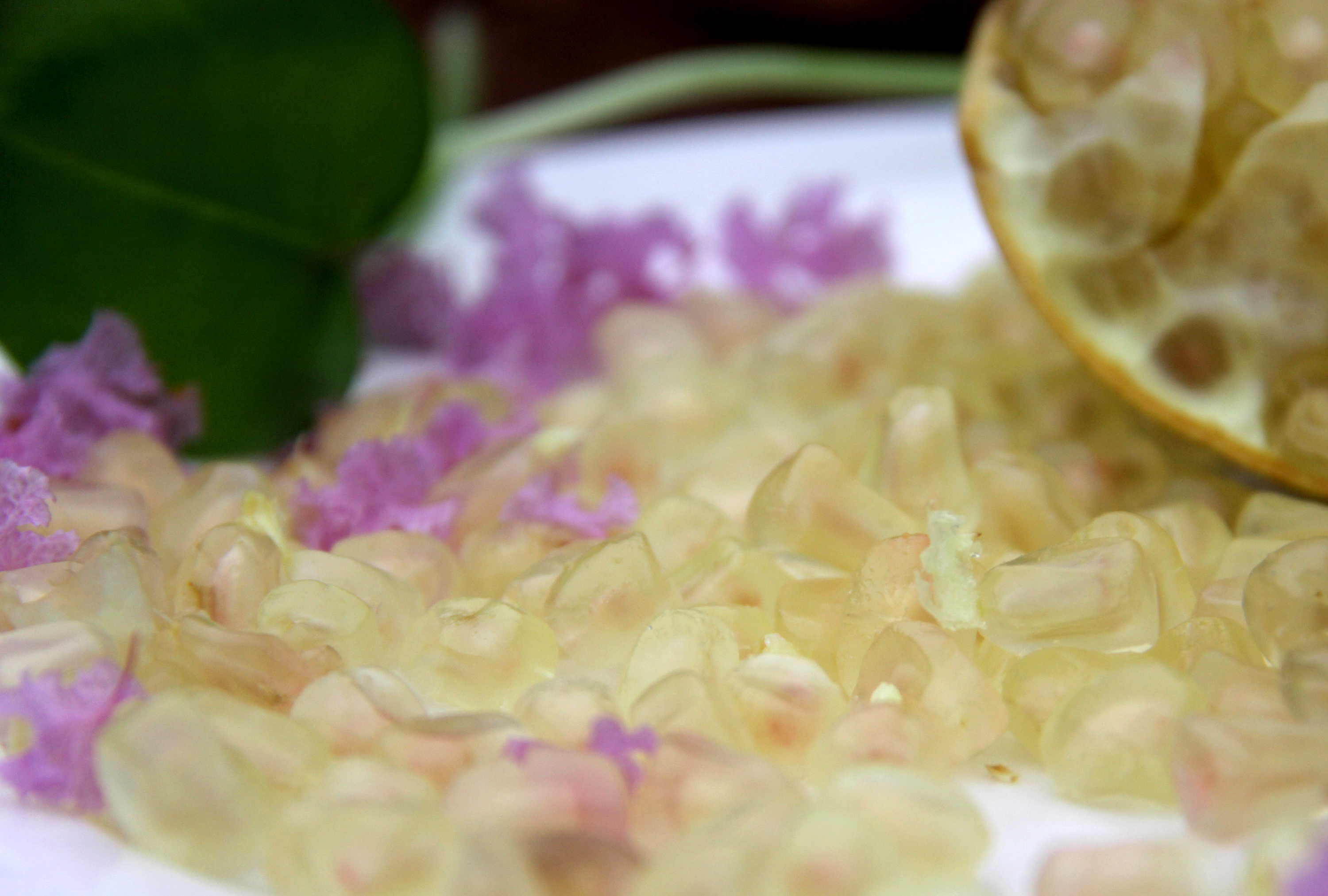 白花玉石籽石榴,玉石籽石榴