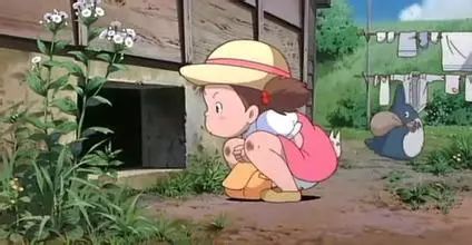 龙猫影评深度理解,龙猫的影评观后感