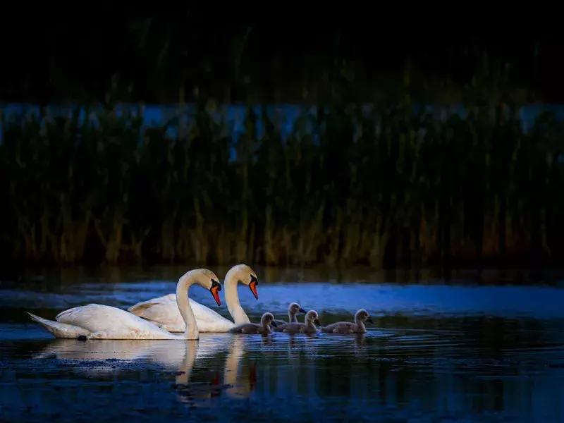 旅行海洋城市,旅行巴彦淖尔