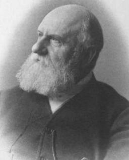 英短猫长大后是什么样的,英短猫的成长大小跟什么有关