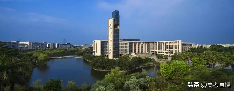 被不喜欢的专业录取了要不要自考,被不喜欢的专业录取不能退吗