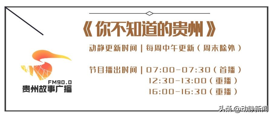 贵州没有茶叶历史的茶是什么,贵州茶是哪些茶的原材料