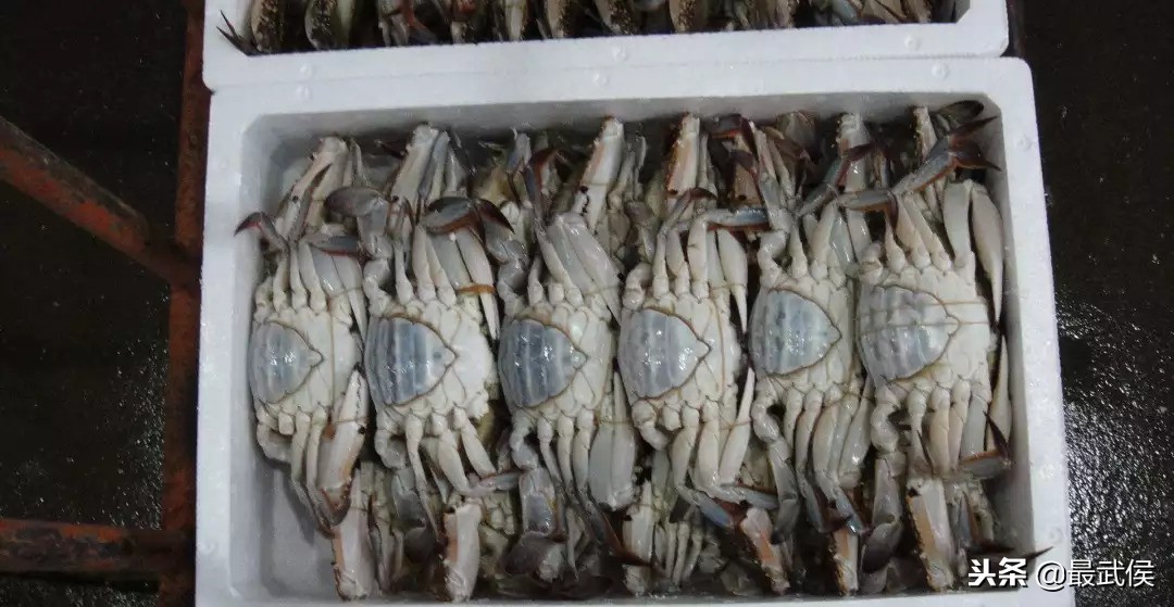 在哪里买东西又好又便宜？2018成都最全批发市场合辑来了