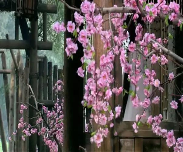 汉字知识大分享,国人必知的汉字常识