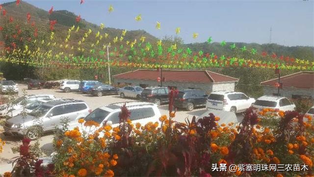 承德德润祥家庭农场,承德市德润祥家庭农场