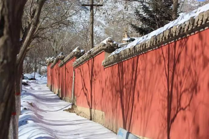 陈晓卿最新街边美食,陈晓卿谈食物