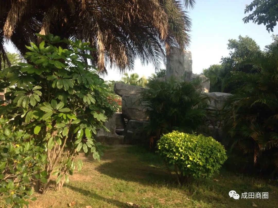 成田文体公园国庆,成田镇文体公园