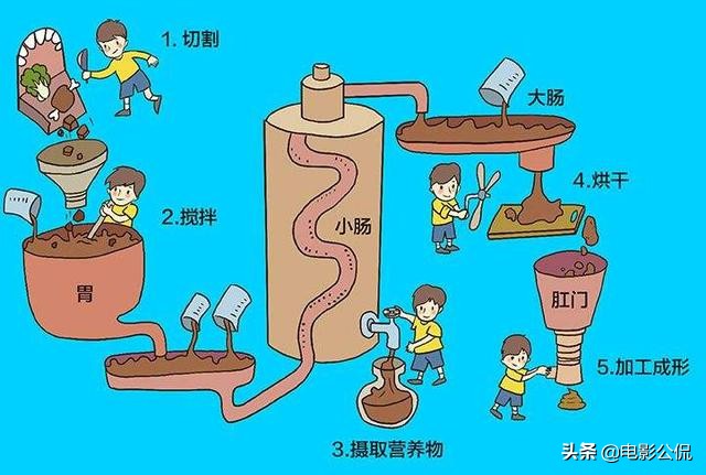 日本科学家的研究结果,日本科学家发明的实验
