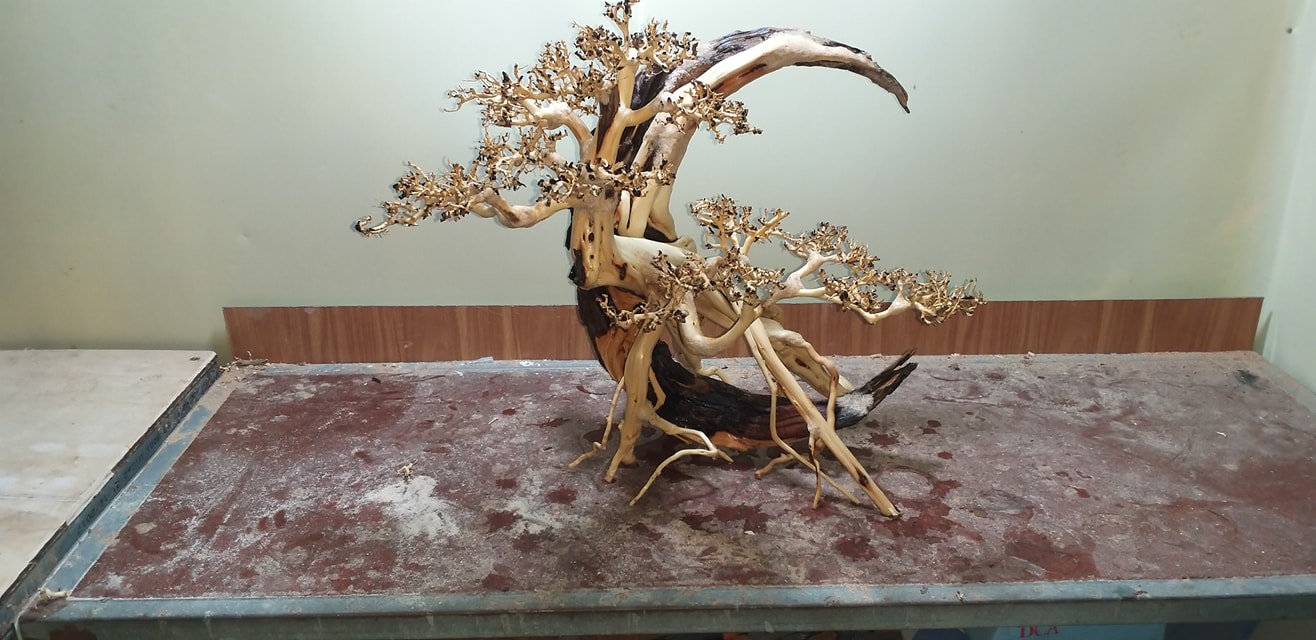 草缸的成本价,不花钱也能做的草缸教学