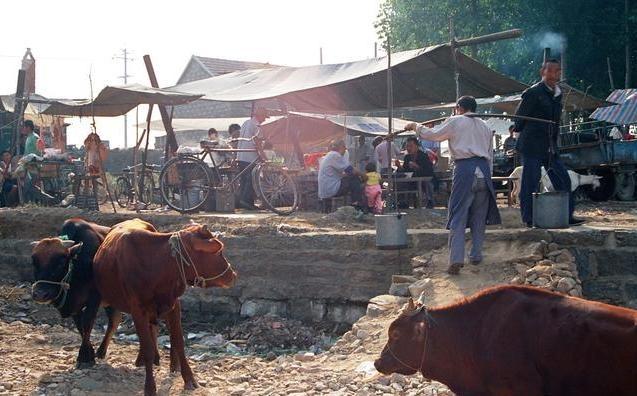 为什么农家乐这么难开,为什么现在农家乐生意难做