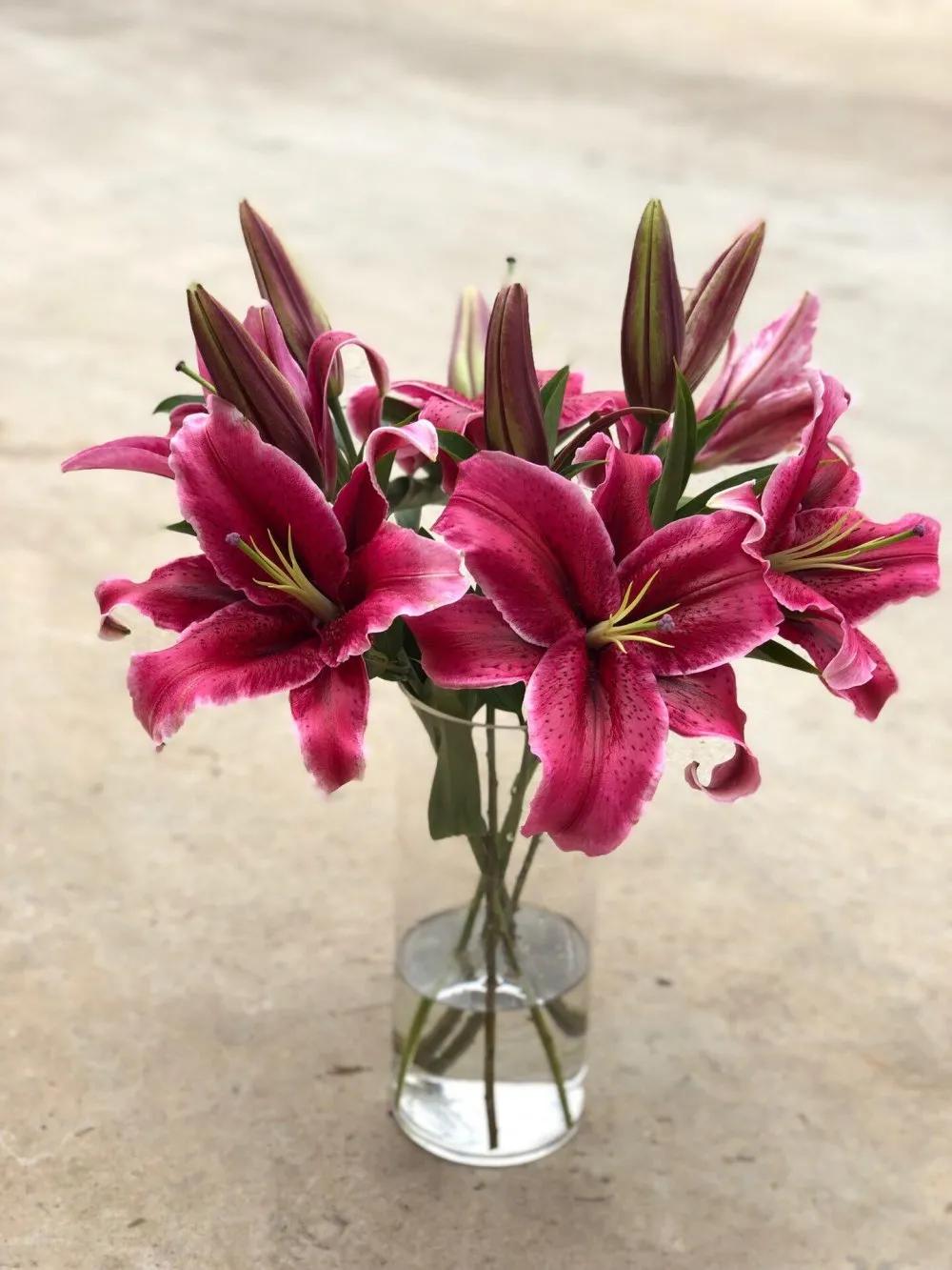 香水百合鲜切花云南鲜花基地,什么颜色的百合最好养活