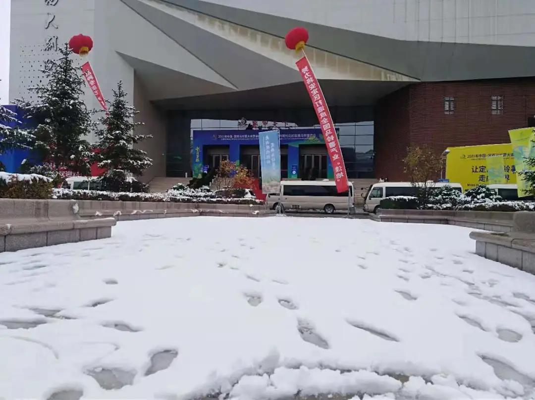 平凉崆峒区四路车现在停运了吗,平凉长途客车停运了吗