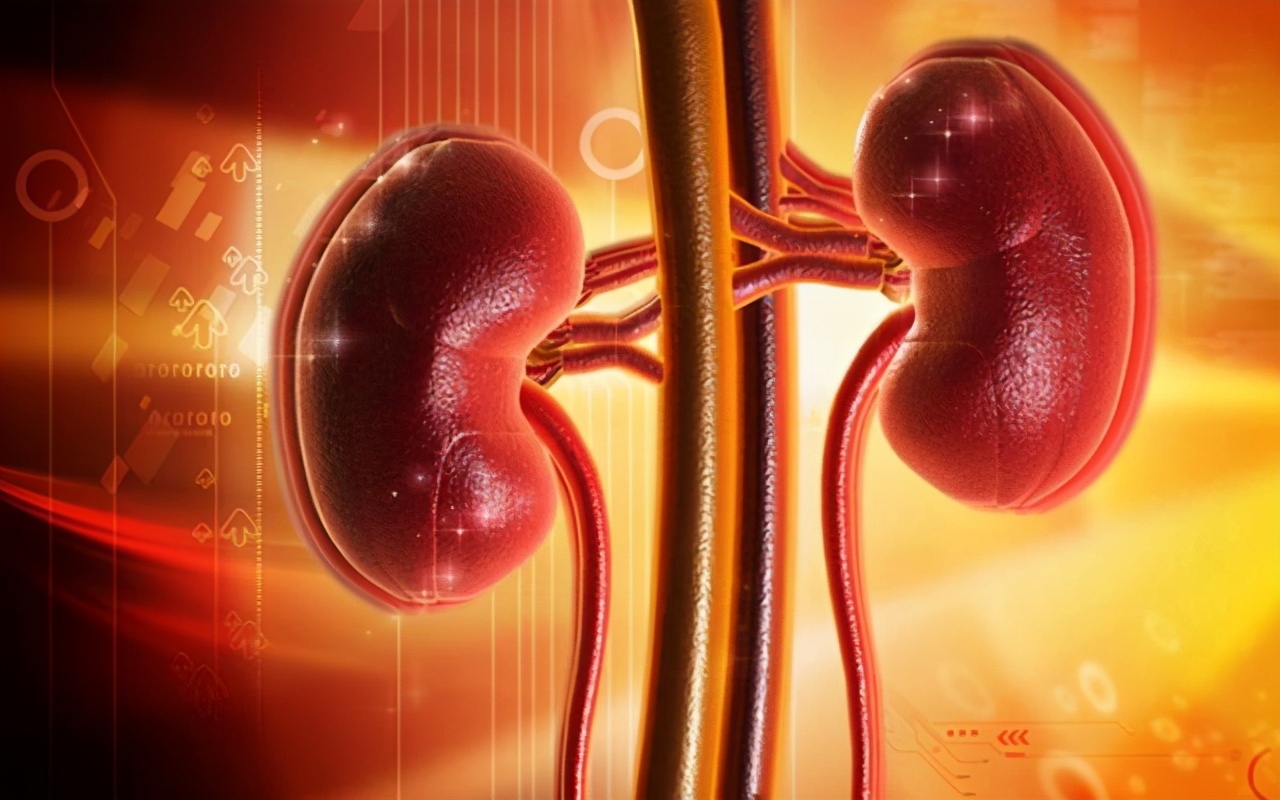 过敏性紫癜属于风湿免疫性疾病吗,过敏性紫癜肾炎是自限性疾病吗