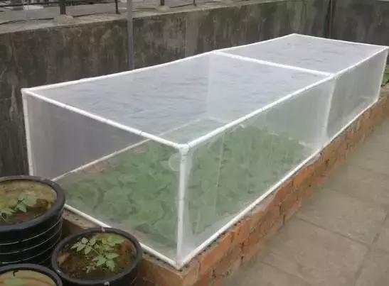 防虫网的作用有哪些,防虫网有什么好处