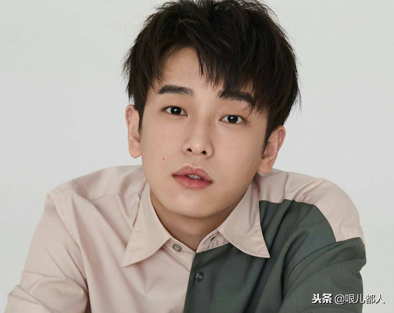 有人说，那只会席地而坐的大象是因为“腿折”了