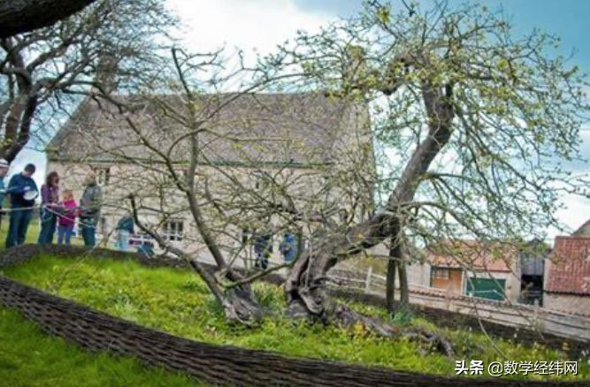 袁亚湘院士《数学漫谈》报告系列之数学的特点