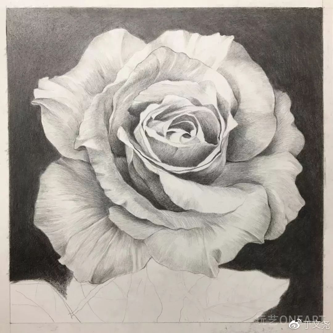 素描基础绘画教程郁金香,素描丁程鑫详细教程