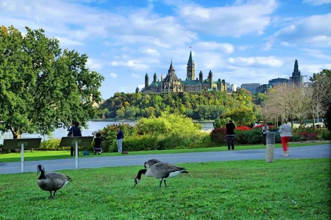中国大爷大妈又摊上事了！被美国政府盯上了...