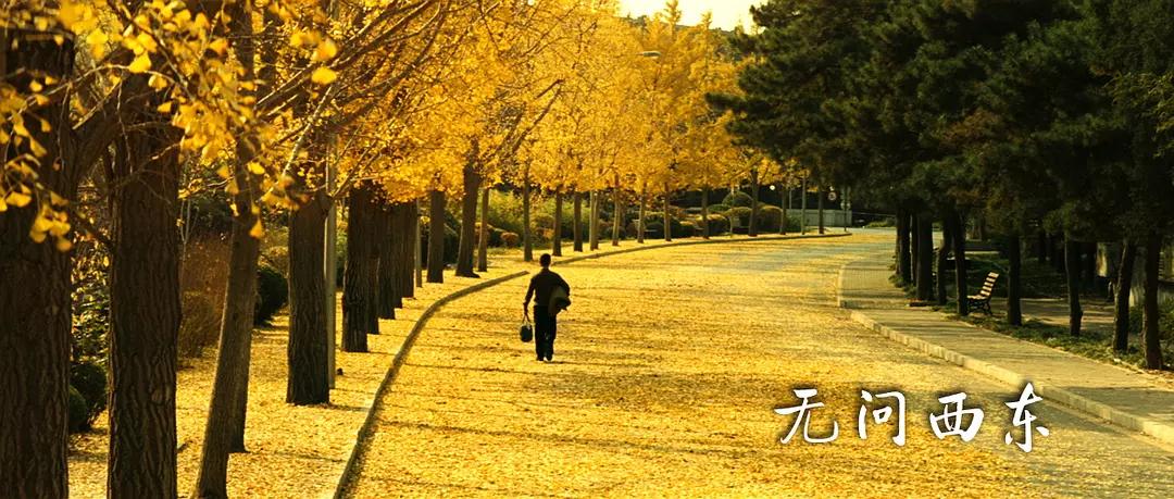 电影票房前十有几部国产片,中国电影票房排行100强