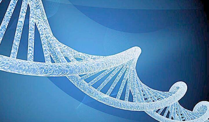 胆结石会不会遗传给胎儿,爸爸得了胆结石会遗传给儿女吗