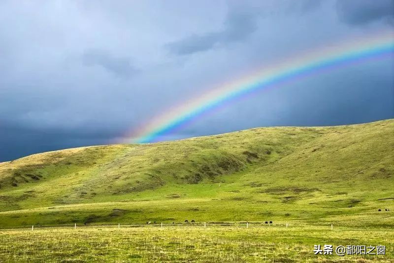 四川若尔盖，中国最美的高寒湿地草原，川西北高原上的绿洲