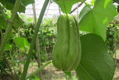 游四方全部视频,游四方四川