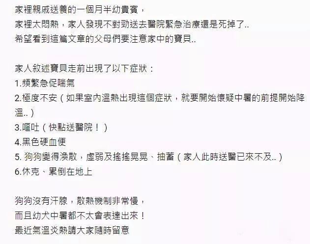 狗狗天气热生病怎么办呢,狗狗热了怎么办