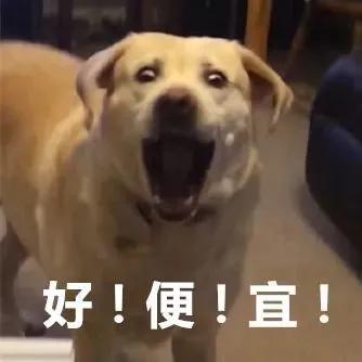 紧急扩散骗子新套路,紧急提醒警惕这几种诈骗