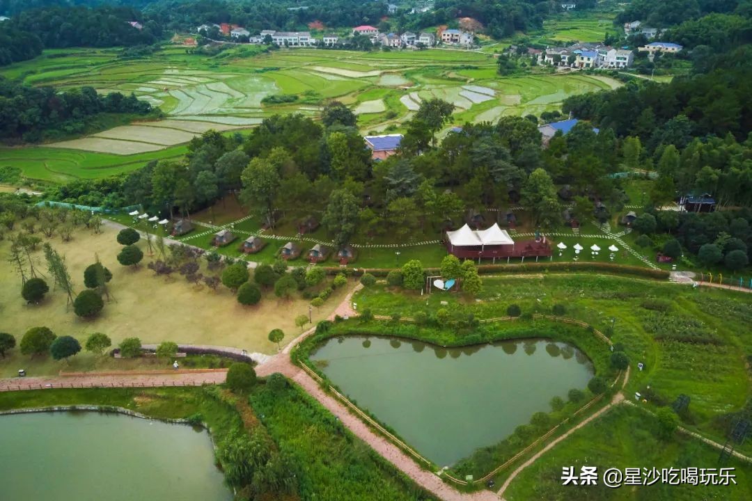 长沙小水果之乡,湖南长沙宝藏打卡地