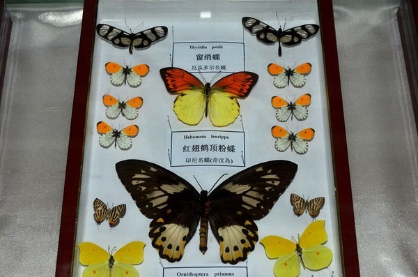 梁祝文化园是不是梁祝公园,宁波梁祝文化园