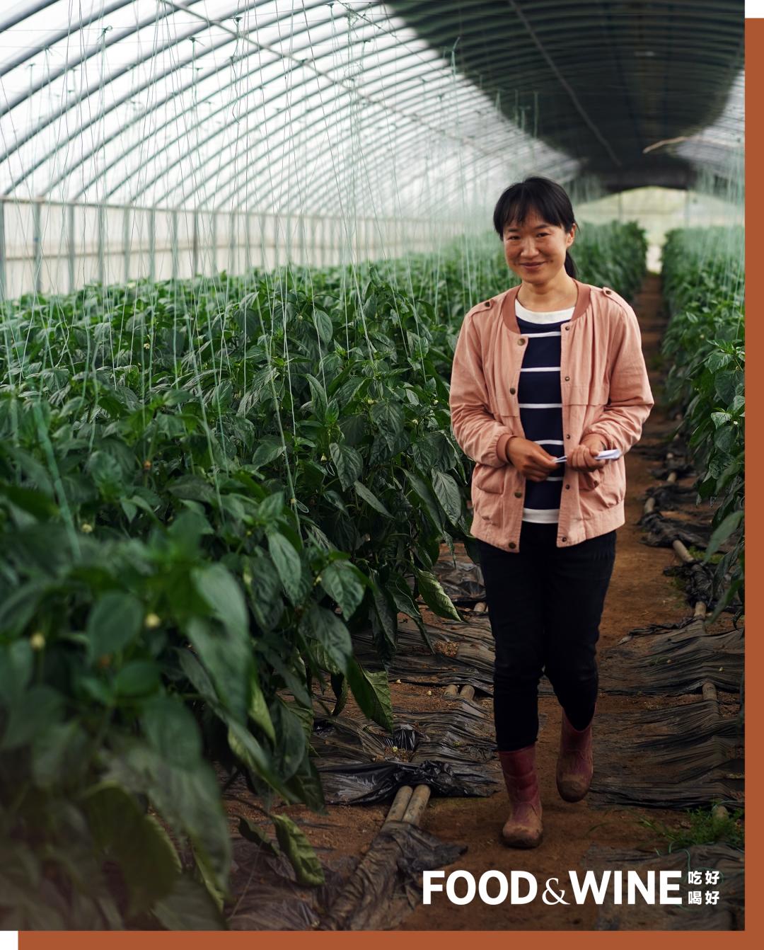 有机蔬菜为什么这么难,有机蔬菜如何种植