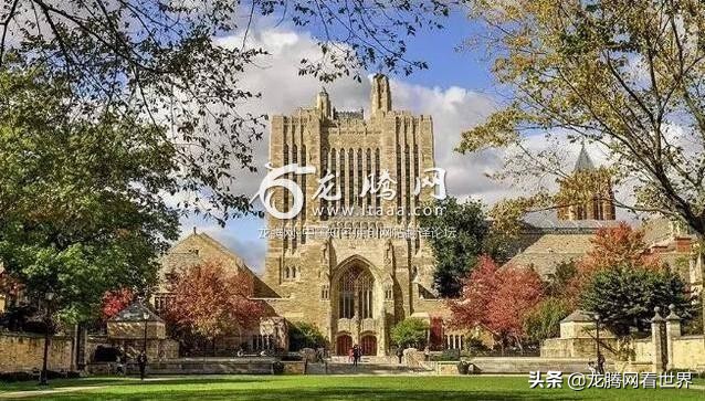 龙腾网美国精英大学,龙腾网案件