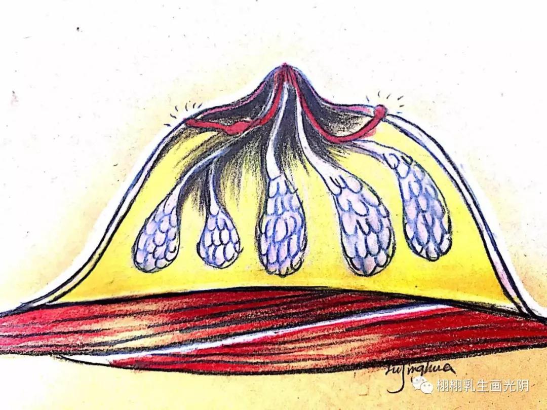 乳腺炎的6大现象,怎么确定是真正的乳腺炎