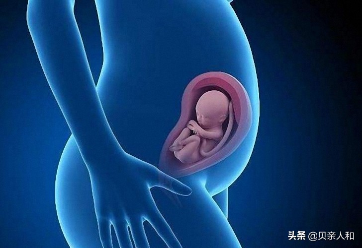 怀孕3个月肚子大了多少,怀孕3个星期肚子多大