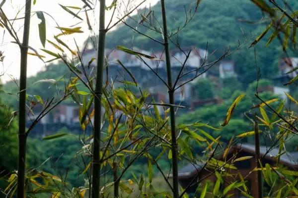 遗世独立的隐居酒店，大自然的馈赠——宁海安岚酒店