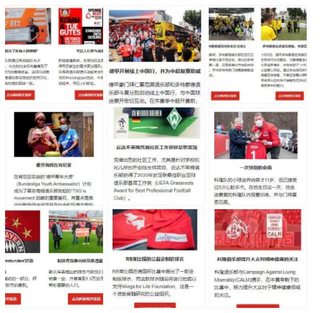 职业足球俱乐部属于经济组织,职业足球市场化