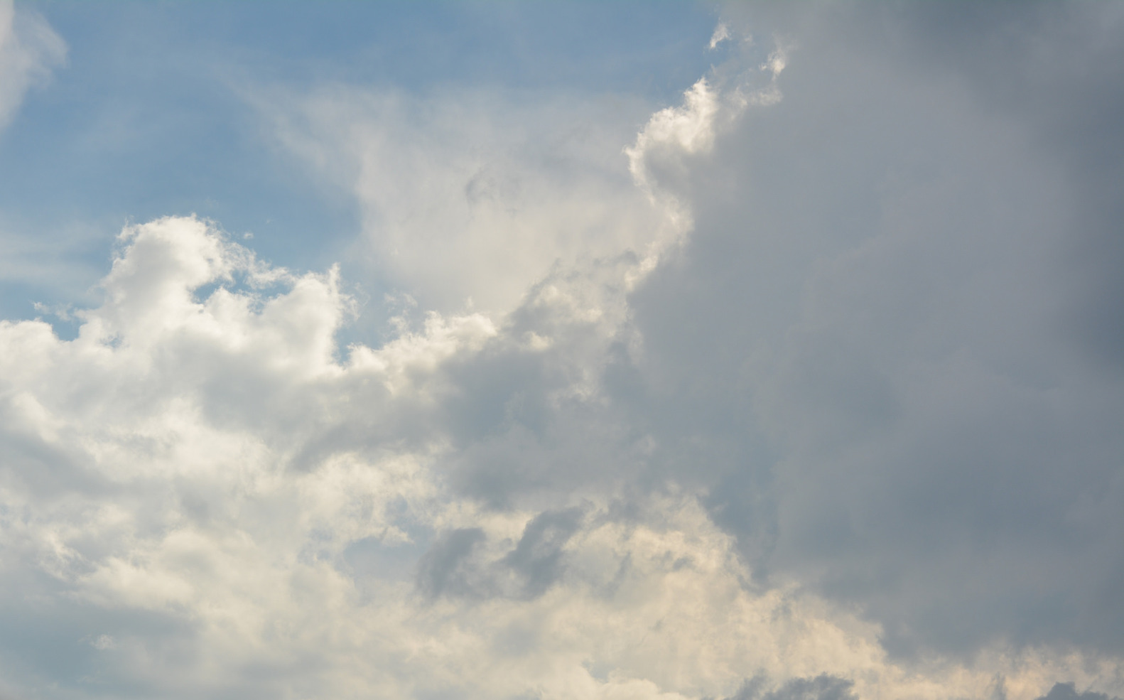 设计师福利模板,设计师必备100件用品